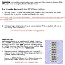 Student exploration building dna gizmo