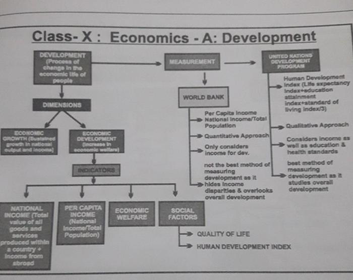 Lesson quiz 1-1 what is economics