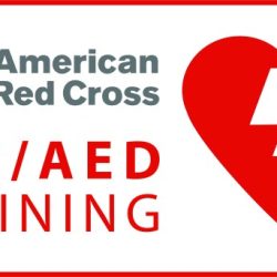 Cpr provider aed rescuer professional training care health