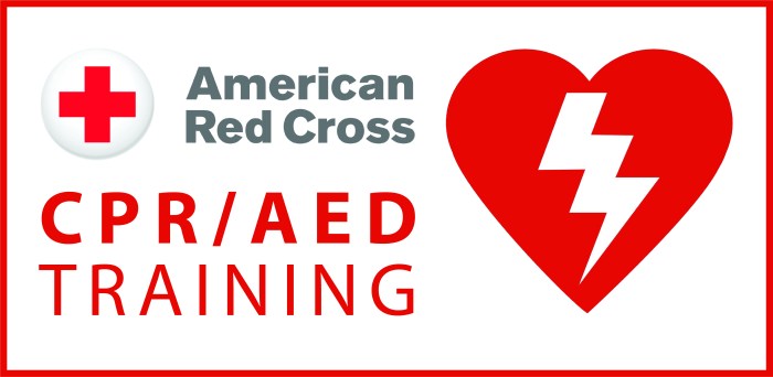 Cpr provider aed rescuer professional training care health