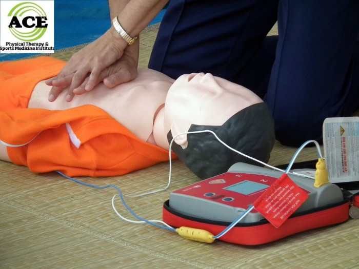 Cpr/aed for the professional rescuer