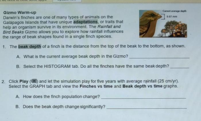 Rainfall and bird beaks gizmo answer key