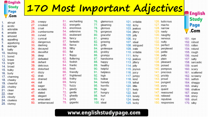 Les 100 adjectifs les plus utilisÃ©s en anglais pdf