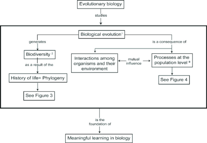 Darwin's theory of evolution concept map answer key