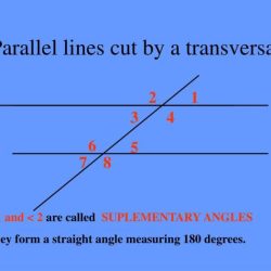 Parallel lines cut by a transversal digital escape answer key