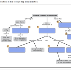 Darwin's theory of evolution concept map answer key