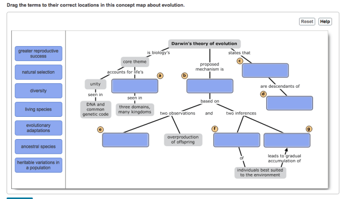 Darwin's theory of evolution concept map answer key