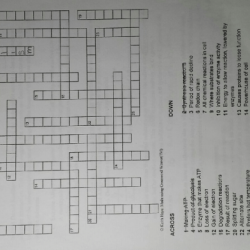 Crossword wordmint